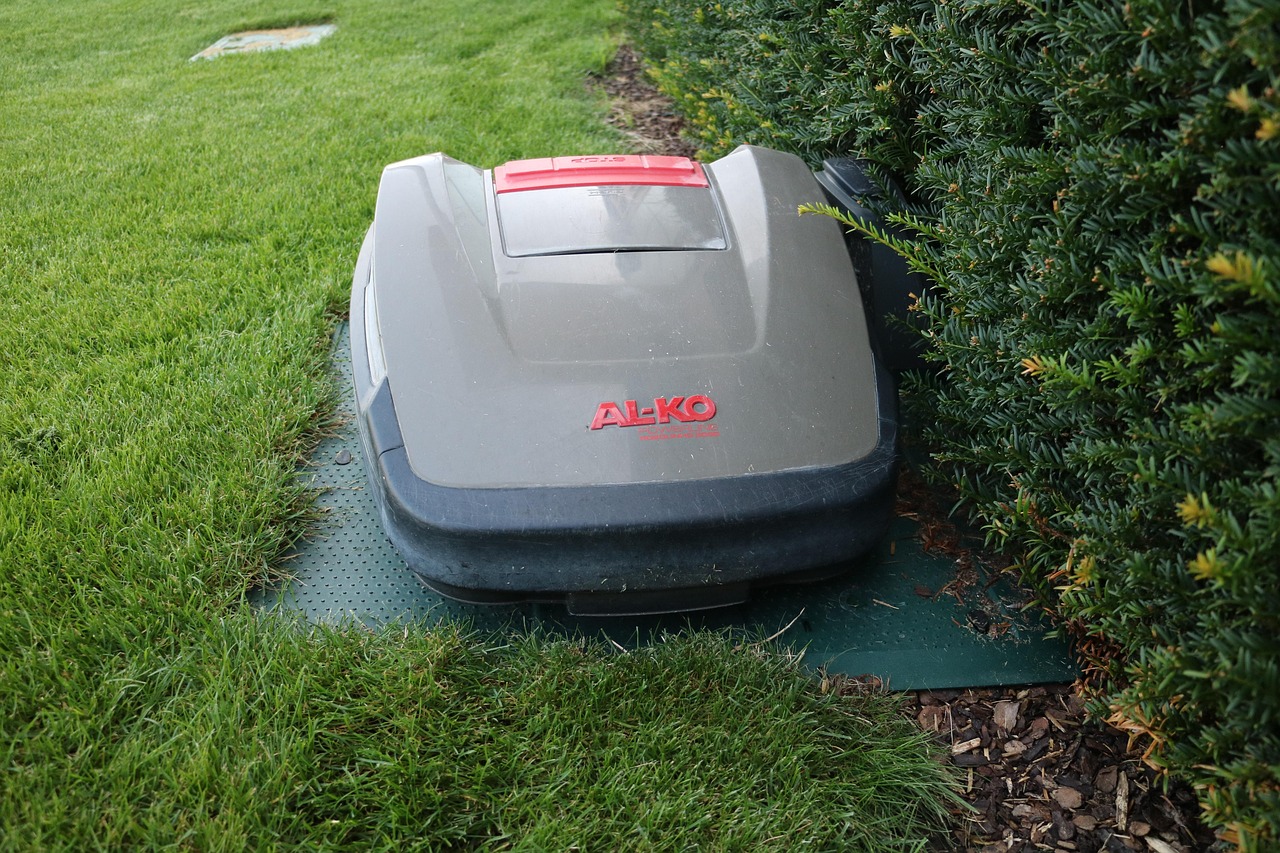 robot koszący brązowe końcówki trawy robot koszący brązowe końcówki trawy — robot koszący przy żywopłocie na trawniku
